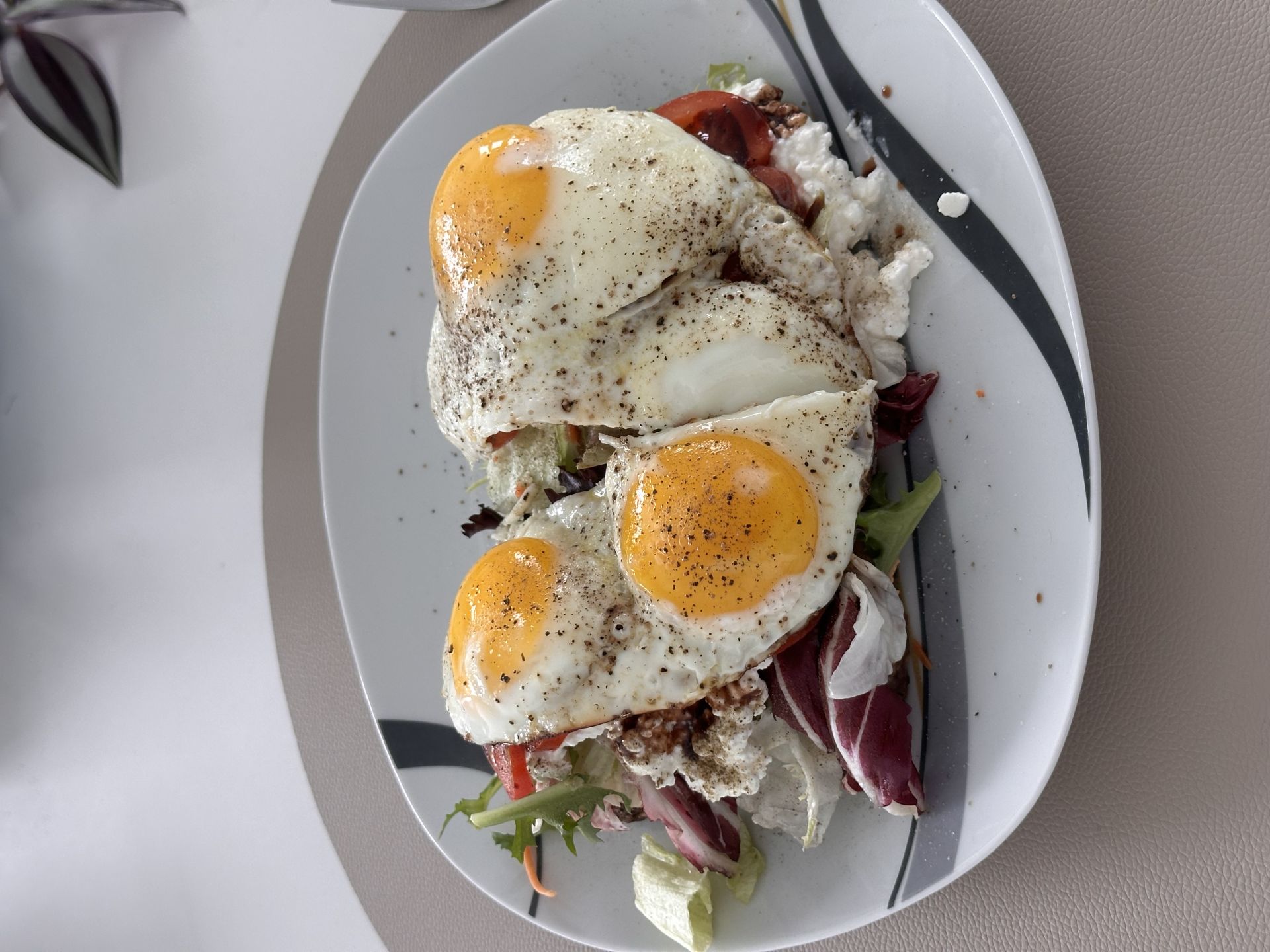 Tim's Protein Frühstück